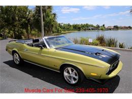 1973 Ford Mustang (CC-2066015) for sale in Fort Myers, Florida
