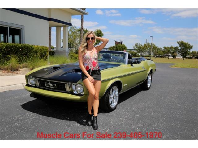 1973 Ford Mustang (CC-2066015) for sale in Fort Myers, Florida