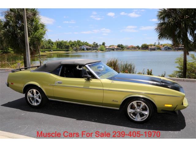 1973 Ford Mustang (CC-2066015) for sale in Fort Myers, Florida
