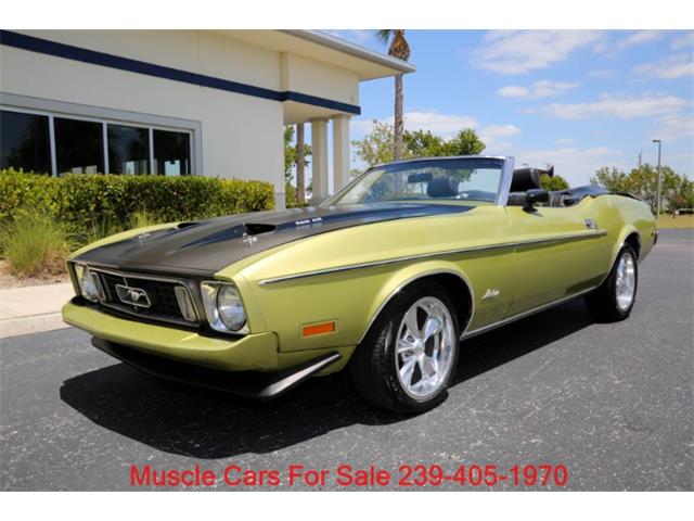 1973 Ford Mustang (CC-2066015) for sale in Fort Myers, Florida
