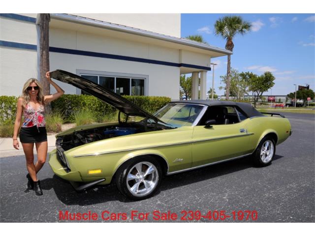 1973 Ford Mustang (CC-2066015) for sale in Fort Myers, Florida