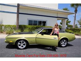 1973 Ford Mustang (CC-2066015) for sale in Fort Myers, Florida