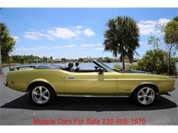 1973 Ford Mustang (CC-2066015) for sale in Fort Myers, Florida
