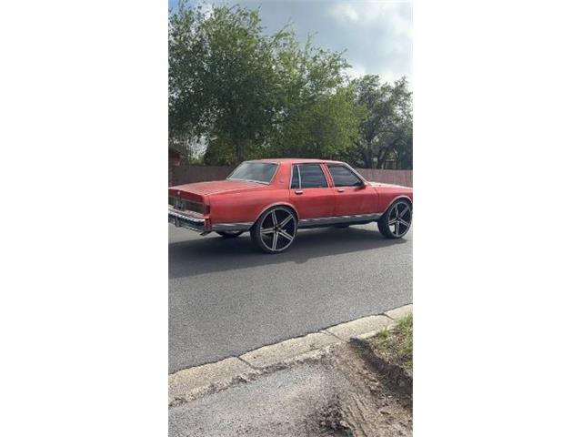 1987 Chevrolet Caprice (CC-2066101) for sale in Cadillac, Michigan
