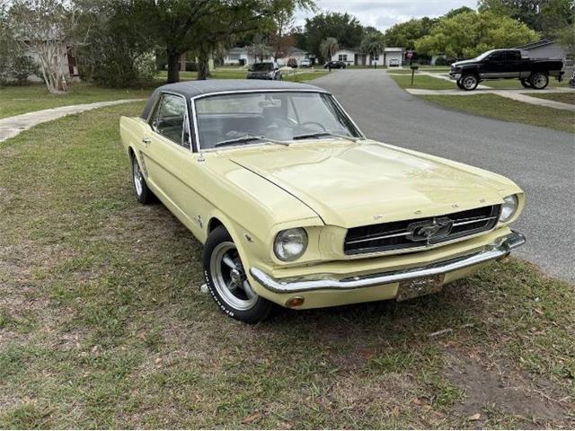 1965 Ford Mustang (CC-2066104) for sale in Cadillac, Michigan