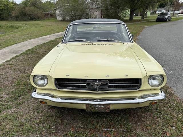 1965 Ford Mustang (CC-2066104) for sale in Cadillac, Michigan