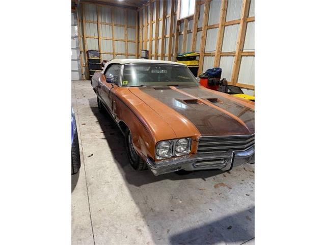 1971 Buick Skylark (CC-2066115) for sale in Cadillac, Michigan