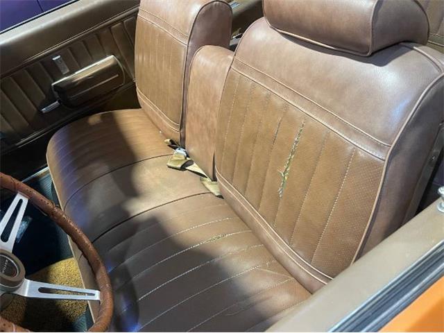 1971 Buick Skylark (CC-2066115) for sale in Cadillac, Michigan