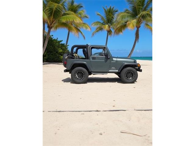 2004 Jeep Wrangler (CC-2066118) for sale in Cadillac, Michigan