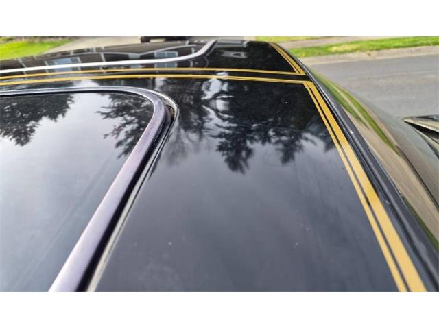 1981 Pontiac Firebird Trans Am (CC-2066120) for sale in Cadillac, Michigan