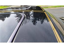 1981 Pontiac Firebird Trans Am (CC-2066120) for sale in Cadillac, Michigan