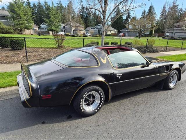 1981 Pontiac Firebird Trans Am (CC-2066120) for sale in Cadillac, Michigan