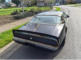 1981 Pontiac Firebird Trans Am (CC-2066120) for sale in Cadillac, Michigan
