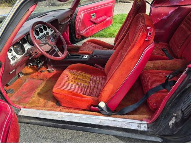 1981 Pontiac Firebird Trans Am (CC-2066120) for sale in Cadillac, Michigan
