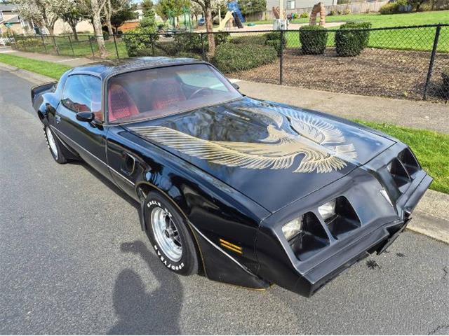 1981 Pontiac Firebird Trans Am (CC-2066120) for sale in Cadillac, Michigan