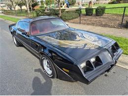 1981 Pontiac Firebird Trans Am (CC-2066120) for sale in Cadillac, Michigan