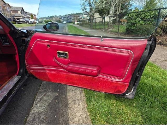 1981 Pontiac Firebird Trans Am (CC-2066120) for sale in Cadillac, Michigan