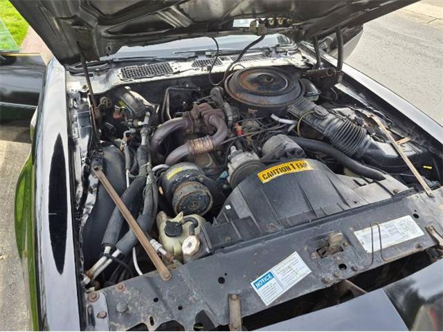 1981 Pontiac Firebird Trans Am (CC-2066120) for sale in Cadillac, Michigan