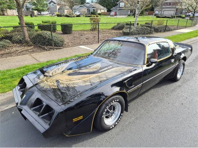 1981 Pontiac Firebird Trans Am (CC-2066120) for sale in Cadillac, Michigan