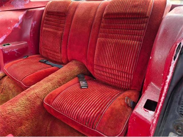 1981 Pontiac Firebird Trans Am (CC-2066120) for sale in Cadillac, Michigan