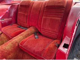 1981 Pontiac Firebird Trans Am (CC-2066120) for sale in Cadillac, Michigan