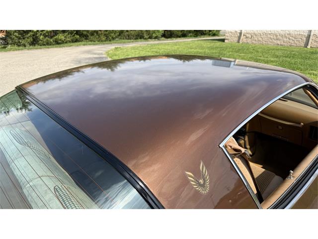 1979 Pontiac Firebird Trans Am (CC-2066164) for sale in Milford, Ohio