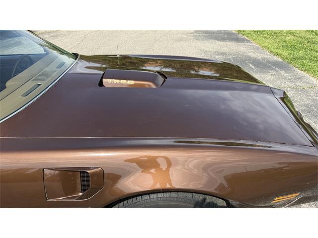 1979 Pontiac Firebird Trans Am (CC-2066164) for sale in Milford, Ohio