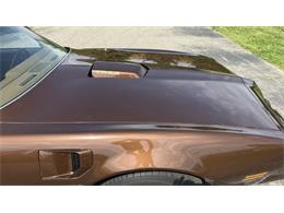 1979 Pontiac Firebird Trans Am (CC-2066164) for sale in Milford, Ohio