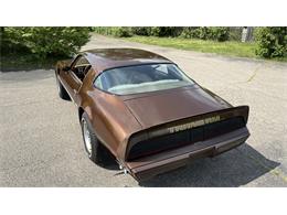 1979 Pontiac Firebird Trans Am (CC-2066164) for sale in Milford, Ohio