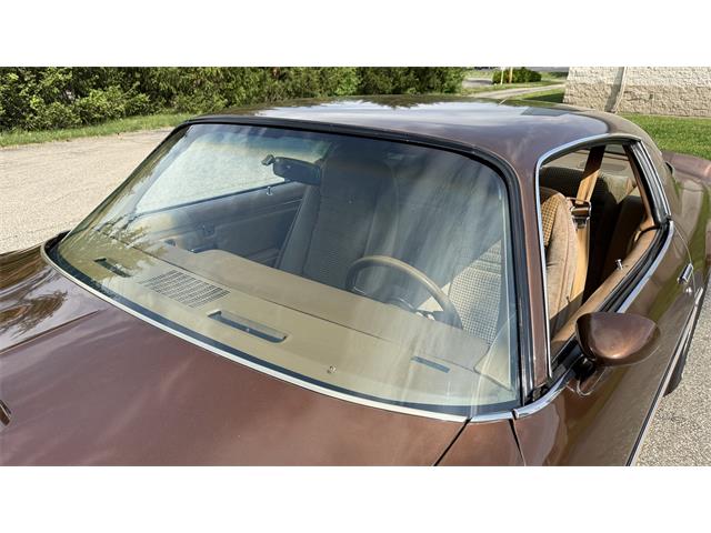 1979 Pontiac Firebird Trans Am (CC-2066164) for sale in Milford, Ohio