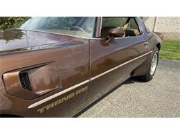 1979 Pontiac Firebird Trans Am (CC-2066164) for sale in Milford, Ohio