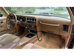 1979 Pontiac Firebird Trans Am (CC-2066164) for sale in Milford, Ohio