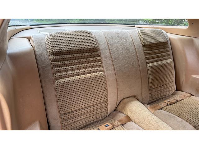 1979 Pontiac Firebird Trans Am (CC-2066164) for sale in Milford, Ohio