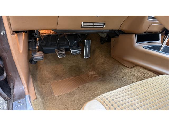 1979 Pontiac Firebird Trans Am (CC-2066164) for sale in Milford, Ohio