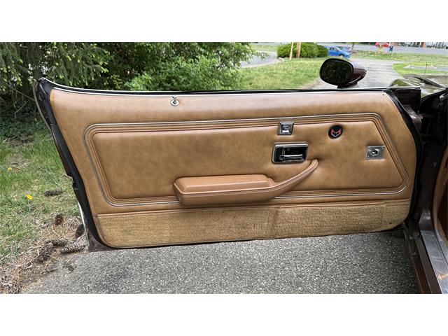 1979 Pontiac Firebird Trans Am (CC-2066164) for sale in Milford, Ohio