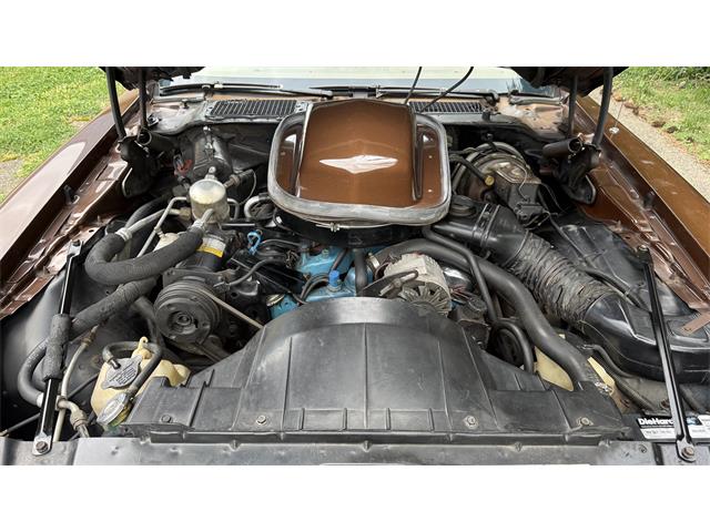 1979 Pontiac Firebird Trans Am (CC-2066164) for sale in Milford, Ohio