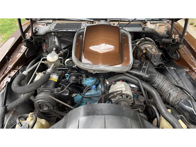1979 Pontiac Firebird Trans Am (CC-2066164) for sale in Milford, Ohio