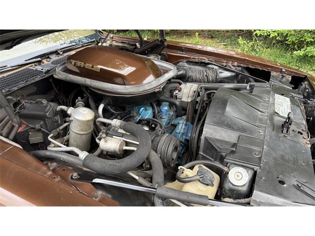 1979 Pontiac Firebird Trans Am (CC-2066164) for sale in Milford, Ohio