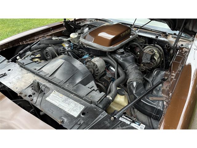 1979 Pontiac Firebird Trans Am (CC-2066164) for sale in Milford, Ohio