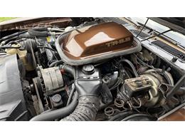 1979 Pontiac Firebird Trans Am (CC-2066164) for sale in Milford, Ohio