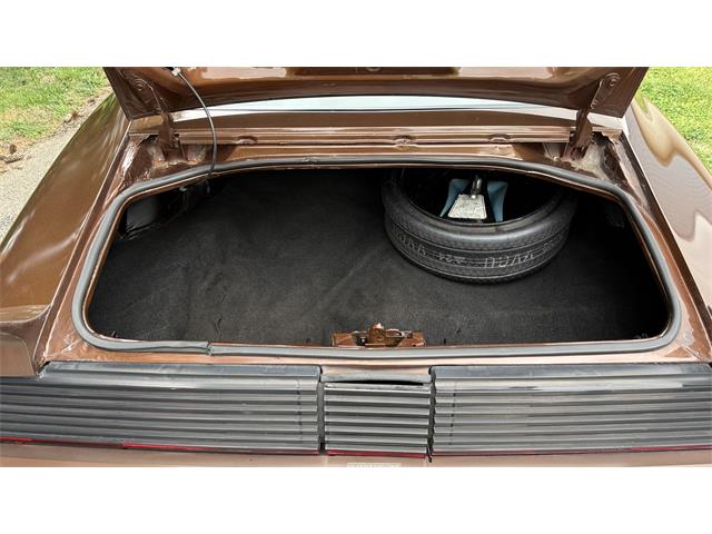 1979 Pontiac Firebird Trans Am (CC-2066164) for sale in Milford, Ohio