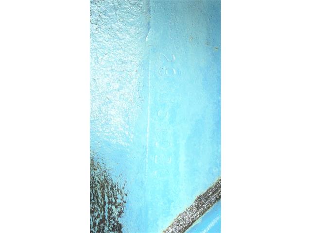 1979 Pontiac Firebird Trans Am (CC-2066164) for sale in Milford, Ohio