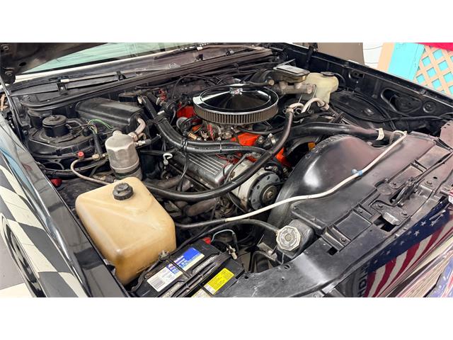 1984 Chevrolet El Camino (CC-2066176) for sale in Annandale, Minnesota