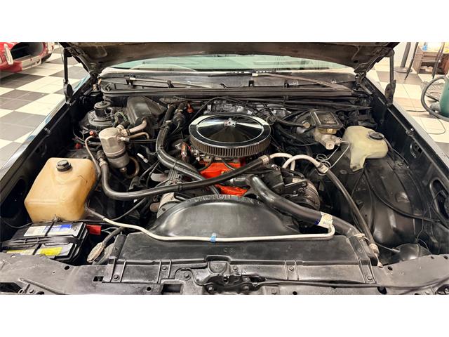 1984 Chevrolet El Camino (CC-2066176) for sale in Annandale, Minnesota