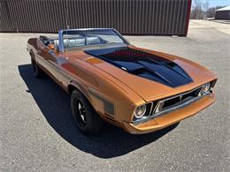 1973 Ford Mustang (CC-2066179) for sale in Annandale, Minnesota