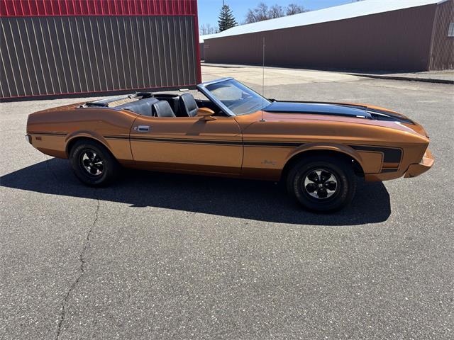 1973 Ford Mustang (CC-2066179) for sale in Annandale, Minnesota