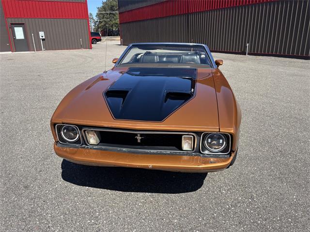 1973 Ford Mustang (CC-2066179) for sale in Annandale, Minnesota