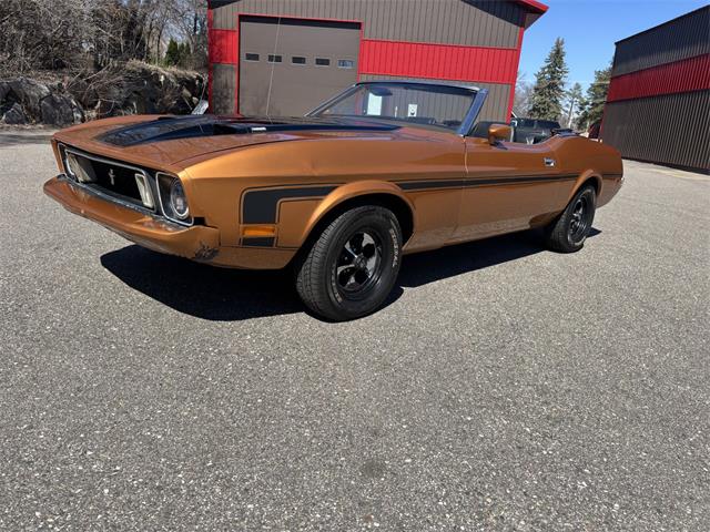 1973 Ford Mustang (CC-2066179) for sale in Annandale, Minnesota