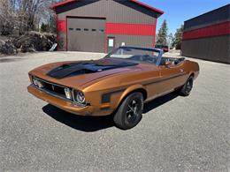 1973 Ford Mustang (CC-2066179) for sale in Annandale, Minnesota
