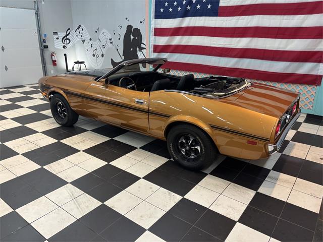 1973 Ford Mustang (CC-2066179) for sale in Annandale, Minnesota